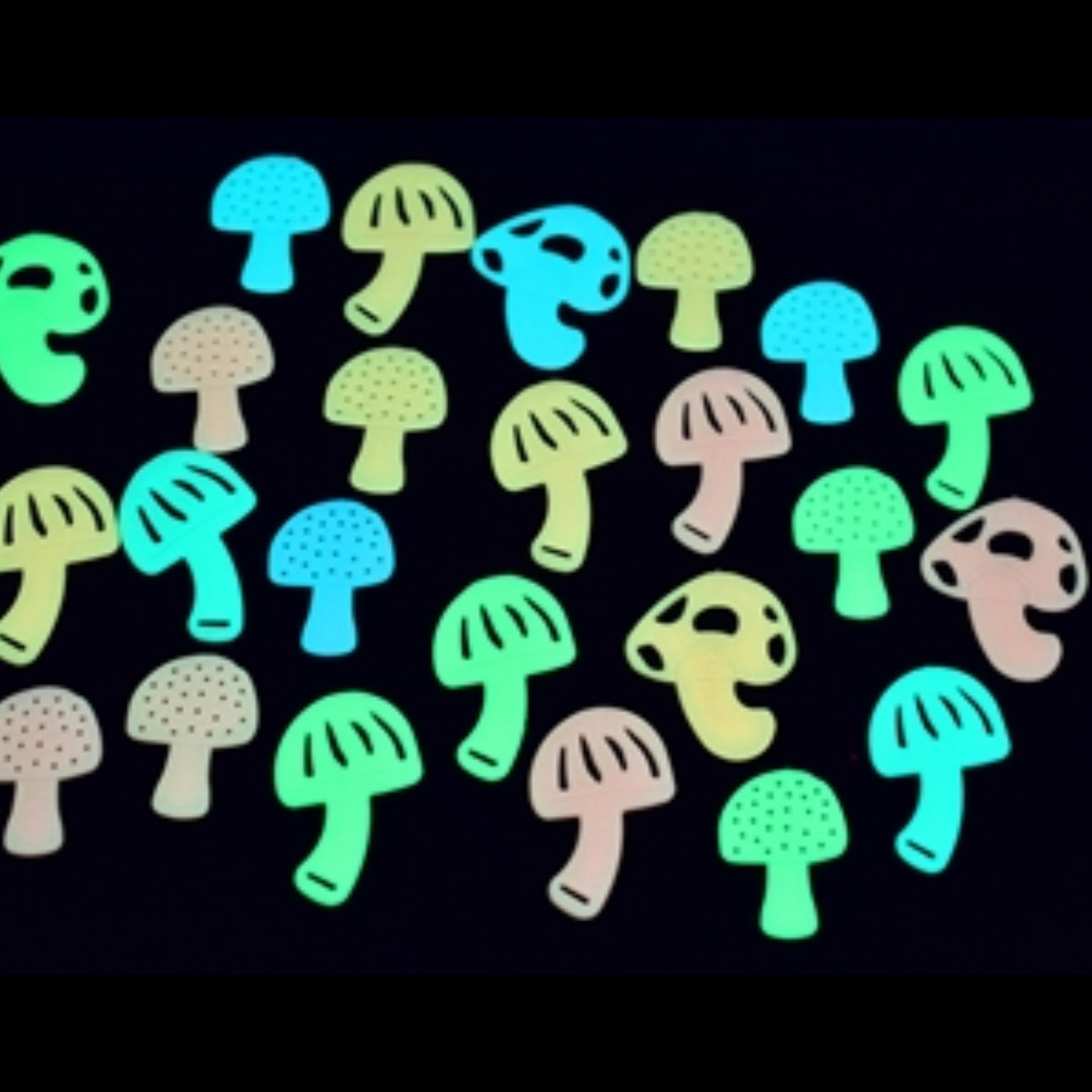 Glow in the Dark Mushrooms